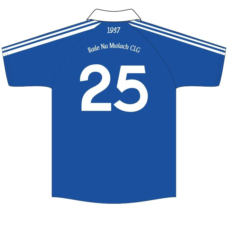 Ballinameela GAA Waterford Kids' Jersey 