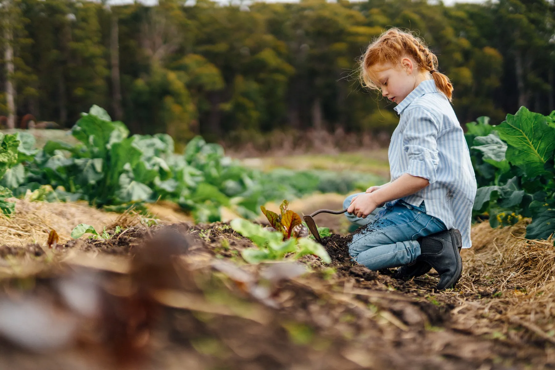 Blundstone 631 Kids