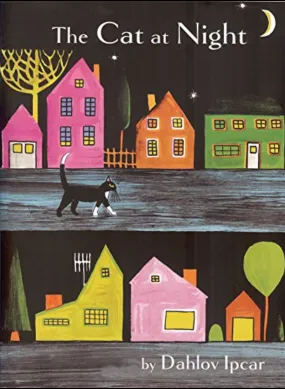 Cat at Night Picture Book