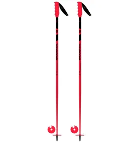 Hero SL Ski Poles - Kids