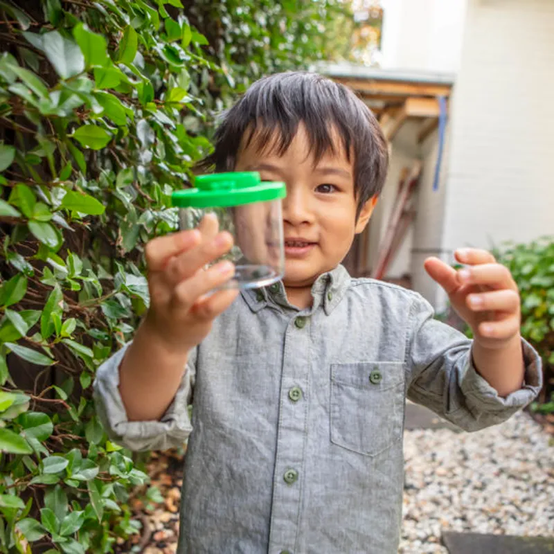 Exciting Bug Exploration Kit by Tiger Tribe