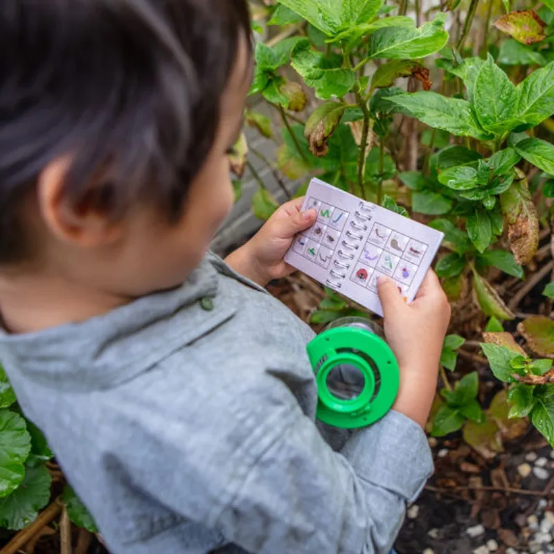 Exciting Bug Exploration Kit by Tiger Tribe