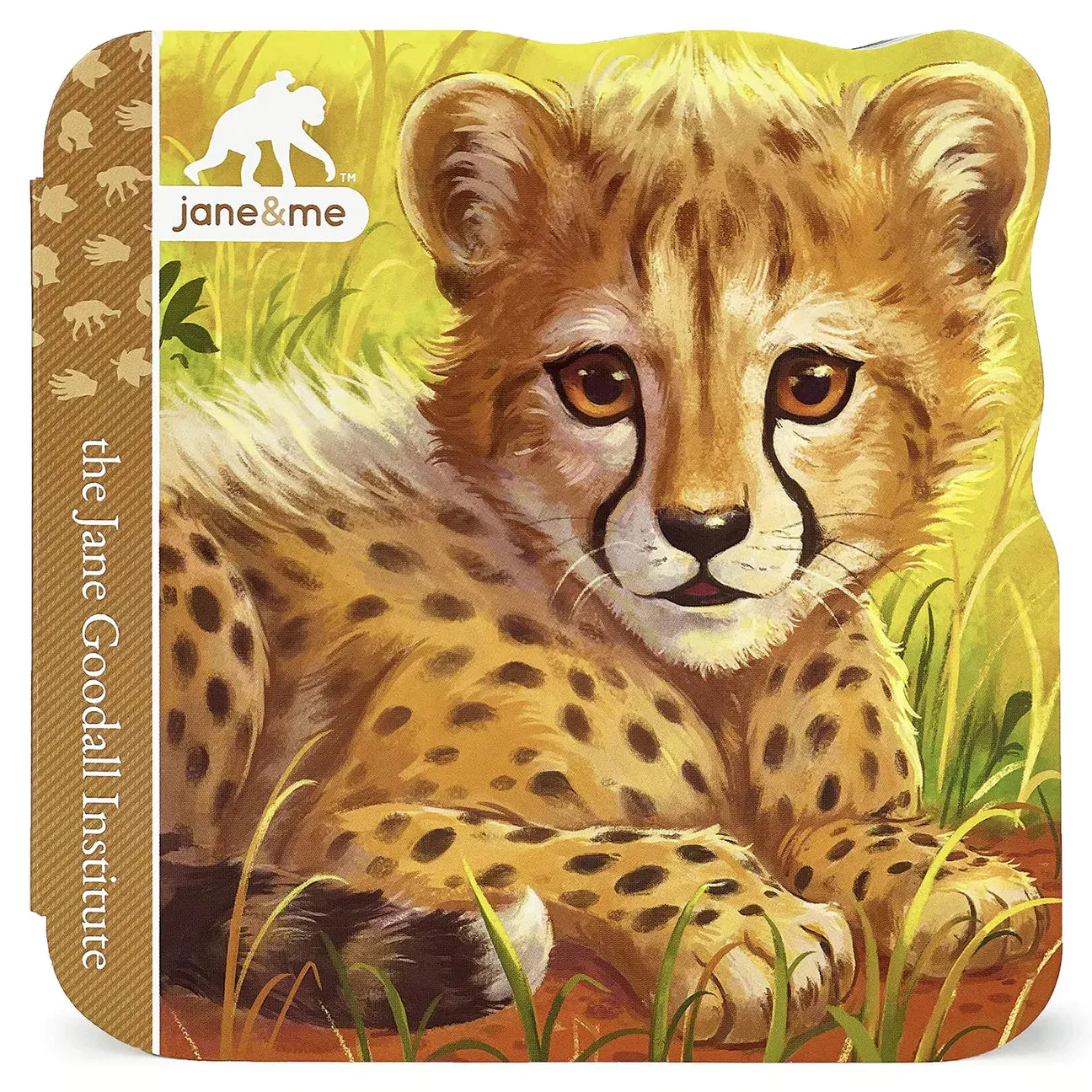 Jane & Me Cheetahs Book