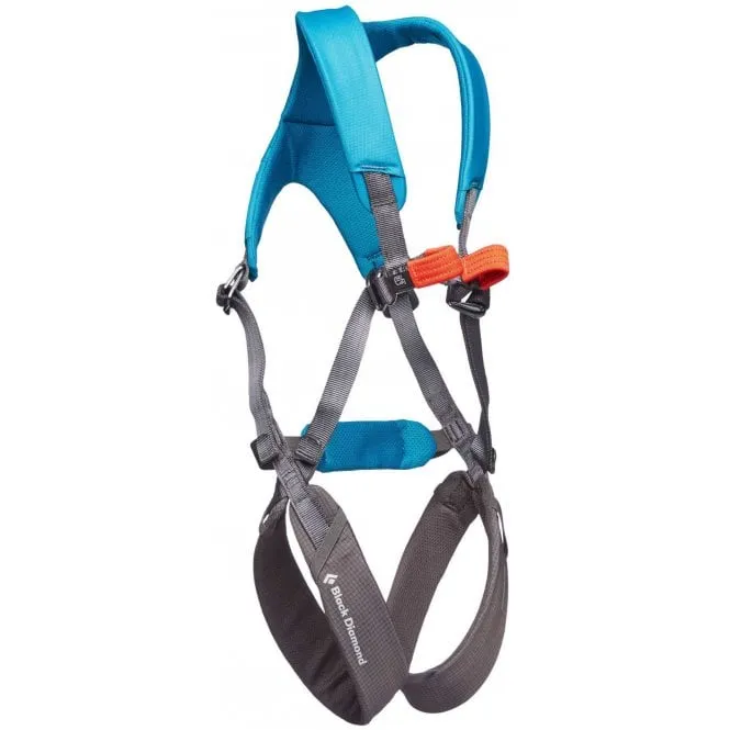 Kids Full Body Momentum Harness