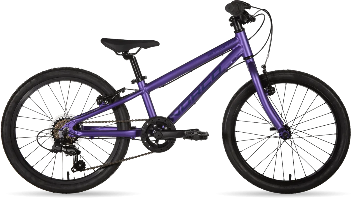 Norco Storm 2.3 20 Kids Bike - Purple