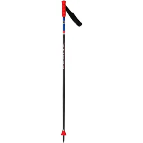 Speed GS Sg Ski Poles - Kids