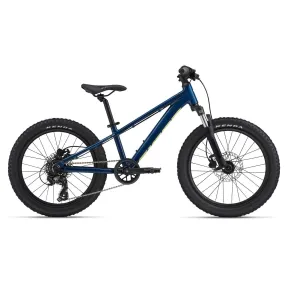 STP 20 FS Kids Bike