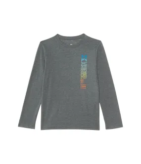 Under Armour Kids Ua Vertical Logo Long Sleeve Tee (Big Kids)