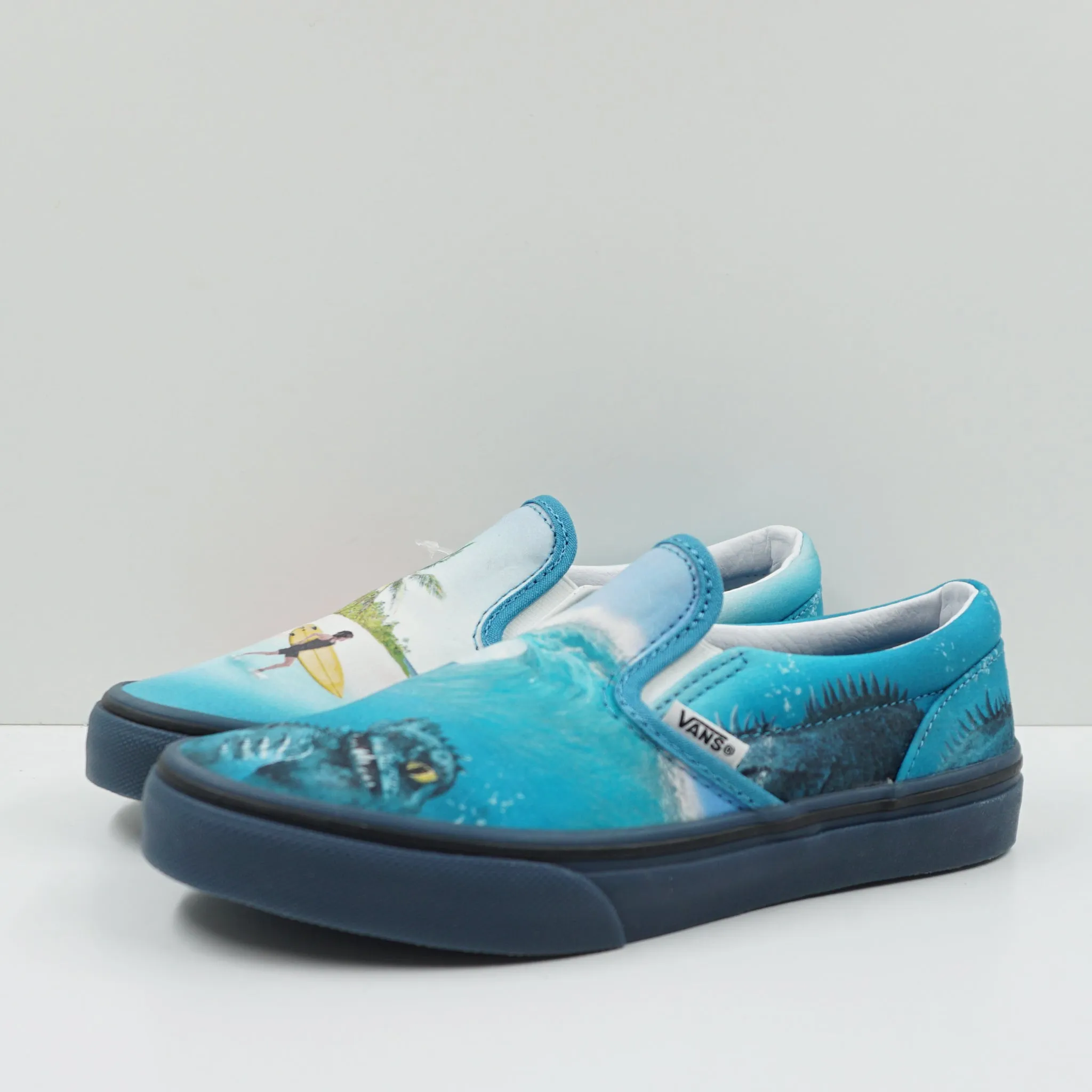 Vans x Molo Slip-On Kids