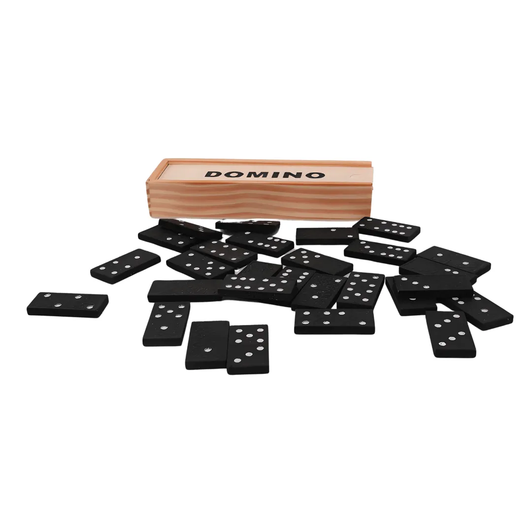 Kids Wooden Blocks and Dominoes Game with Storage Box